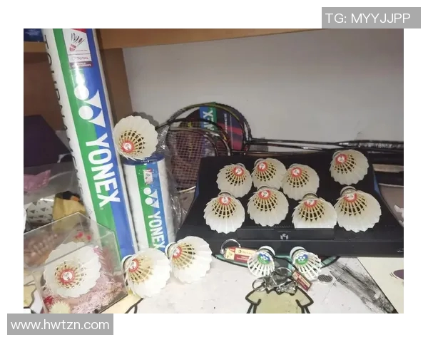 南京羽毛球队整体压制现象解析及其对羽毛球发展的影响