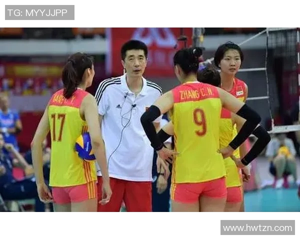 南京排球队实力对比深度解析与未来发展展望